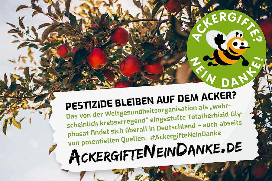 Kampagne Ackergifte - Apfelbaum Apfelbaumkrone mit roten Äpfeln. Mit Text: Pestizide bleiben auf dem Acker?