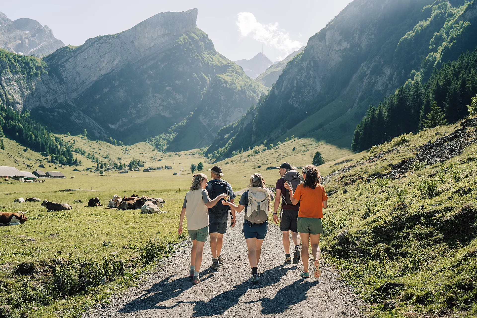 Eine Gruppe von Menschen auf einem Ausflug. Eine Gruppe von fünf Leuten wandern inmitten grüner Wiesen auf ein Alpenpanorama zu.