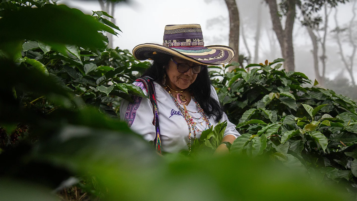 Kolumbien Lieferantenprotrait Anei Aurora CEO von der Kooperative Anei im kolumbianischen Dschungel bei den Kaffeeplantagen