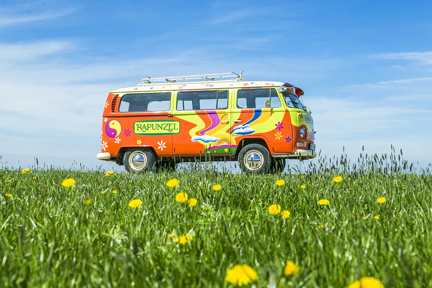Rapunzel Bulli-Bus auf Allgäuer Wiese. Ein bunter Bulli auf einer blühenden Blumenwiese.