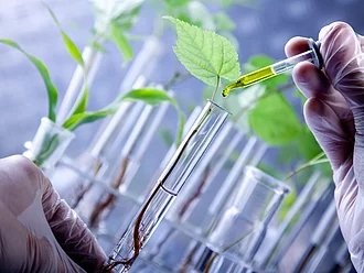 Grüne Gentechnik - Reagenzglas mit Pipette Reagenzglas mit Pipette vor grünen Pflanzen. Szenerie aus einem Forschungslabor