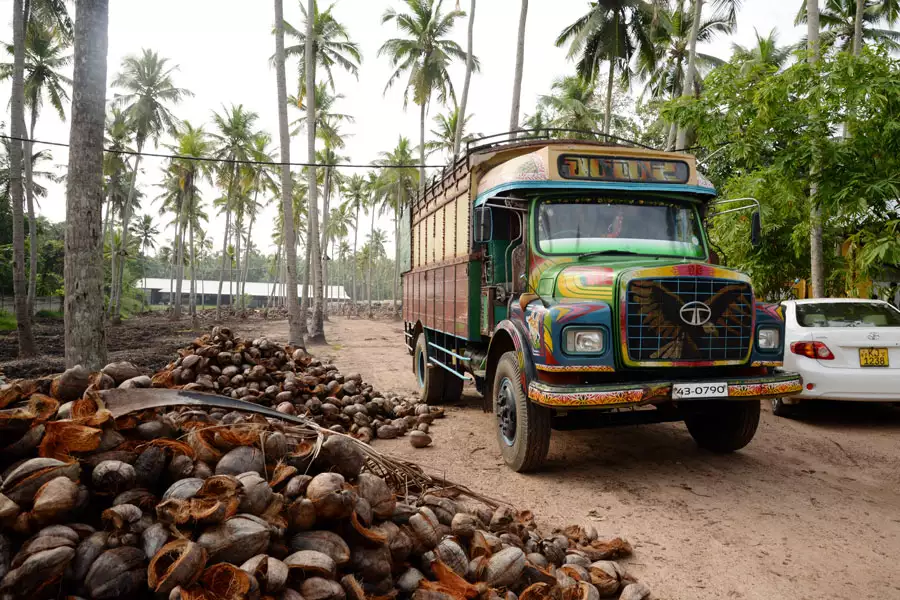Eigene GPS-gestützte LKWs holen die Kokosnüsse  von den Bauern ab und bringen sie zur Mühle.