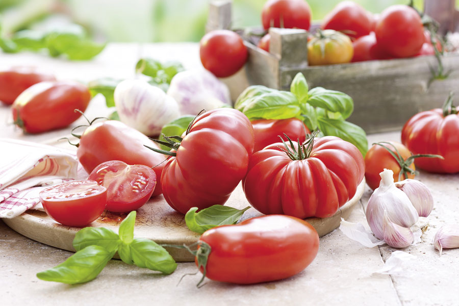 Tomatenprodukte & Saucen