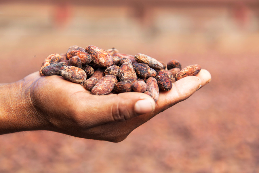 Cocoa: Fair value chain