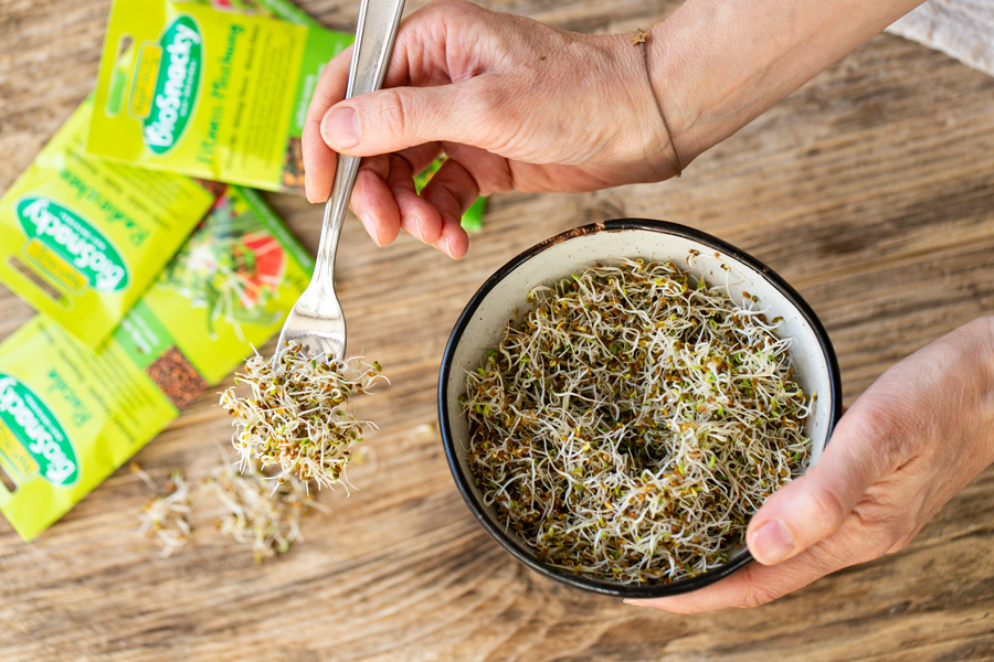 Know-how: Cultivating your own sprouts