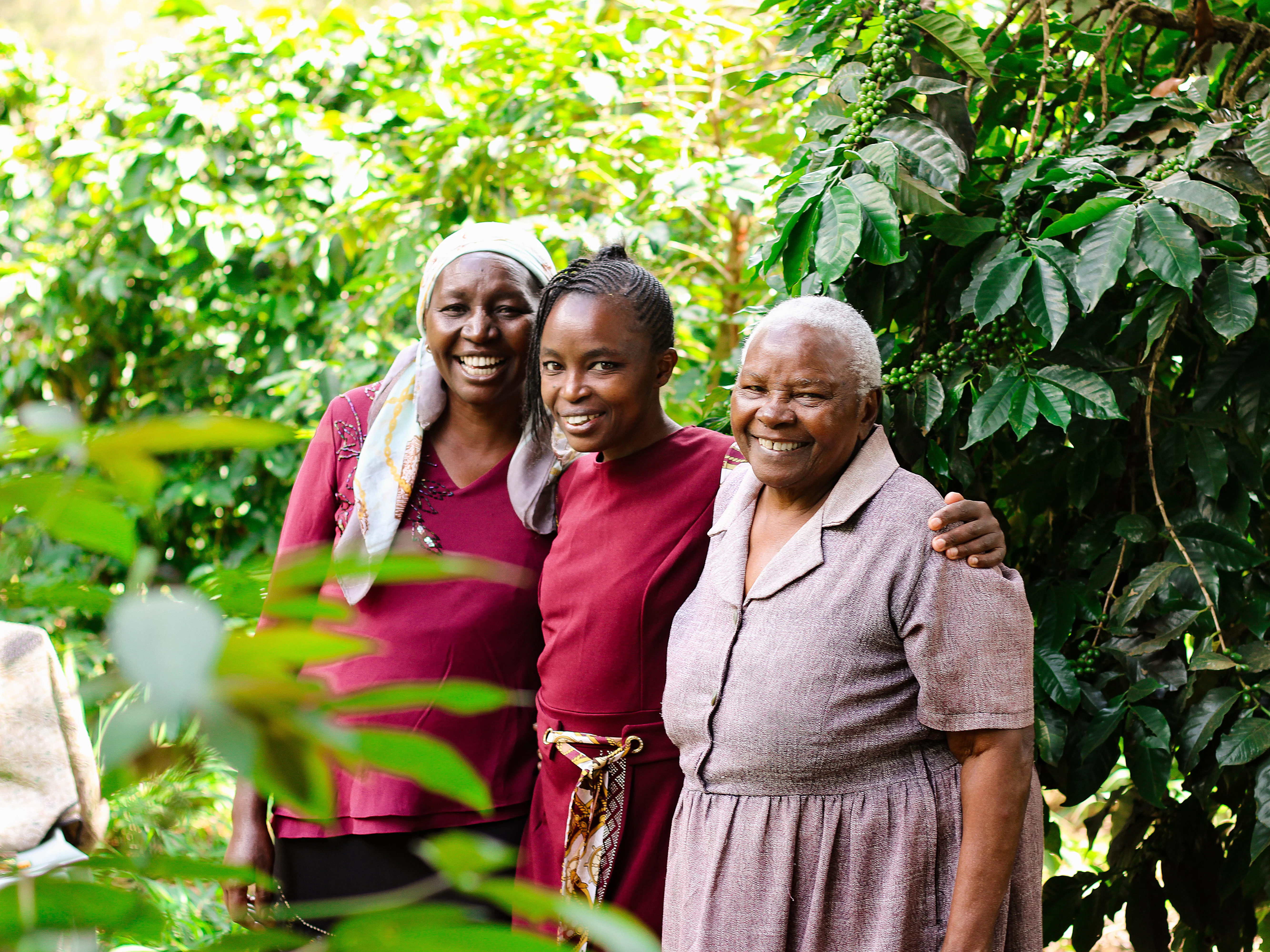 Limbua gibt Kleinbauern eine faire Perspektive. Drei Bäuerinnen, die in die Kamera strahlen und neben Kaffeesträuchern stehen.