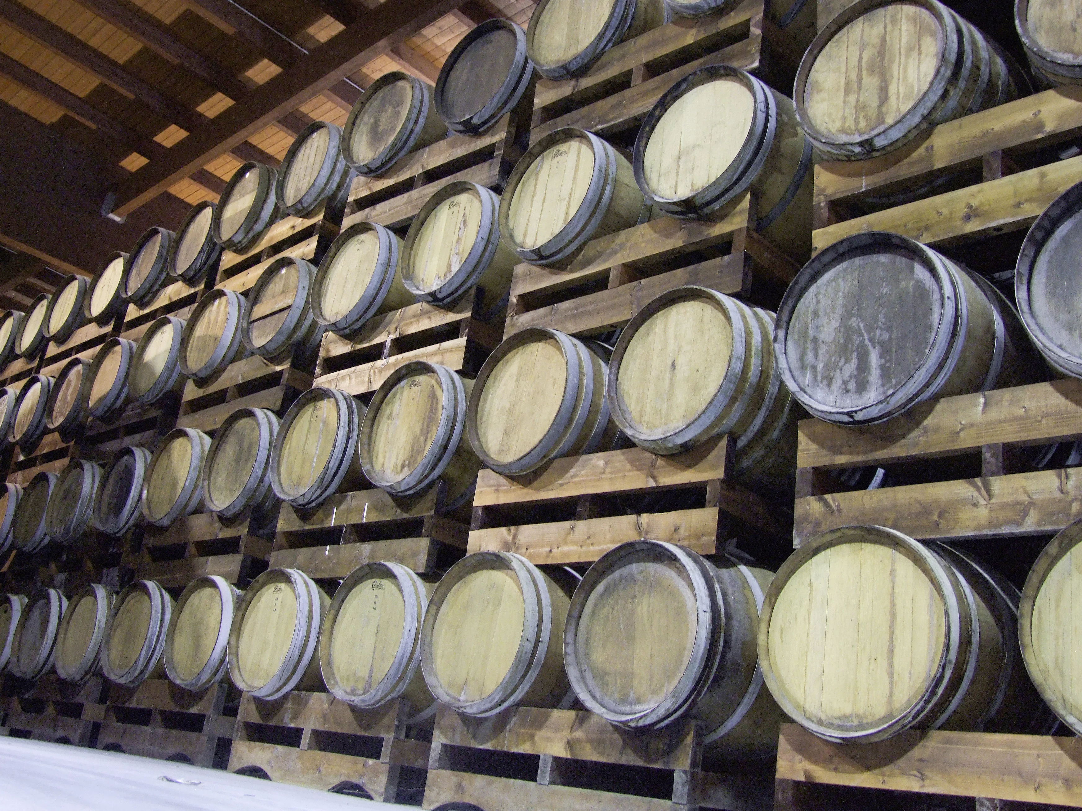 Lagerung des Traubenmostes. Holzfässer in einem Lagerraum von Acetum.