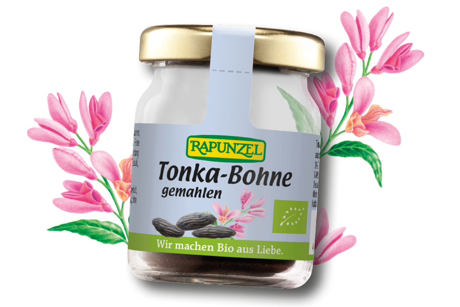 An exquisite spice: Rapunzel Tonka bean