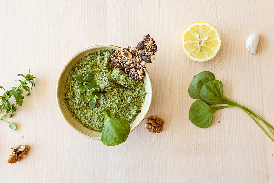 Vogelmiere Pesto mit Walnüssen Vogelmiere Pesto mit Walnüssen