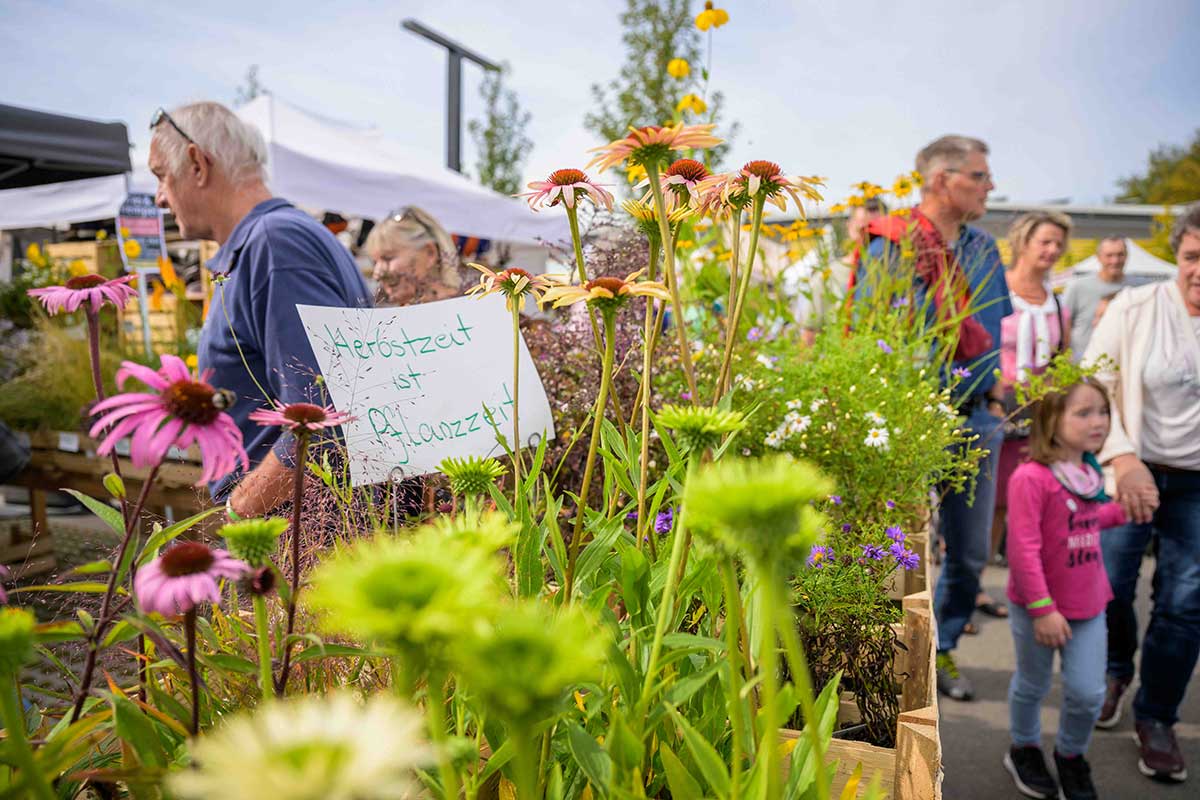 Blumen auf dem Händlermarkt zum Rapunzel Festival